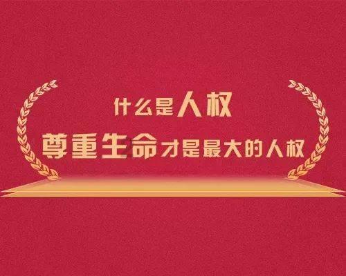 植物大战僵尸16